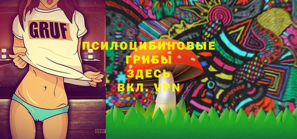 соль ск Тында