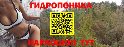 прущие грибы Бузулук