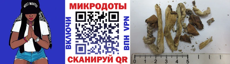 Галлюциногенные грибы Psilocybe  Усть-Илимск 
