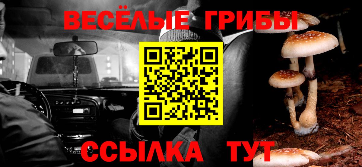 Галлюциногенные грибы ЛСД  Галлюциногенные грибы GOLDEN TEACHER  купить закладку  Усть-Илимск  Вход с VPN 